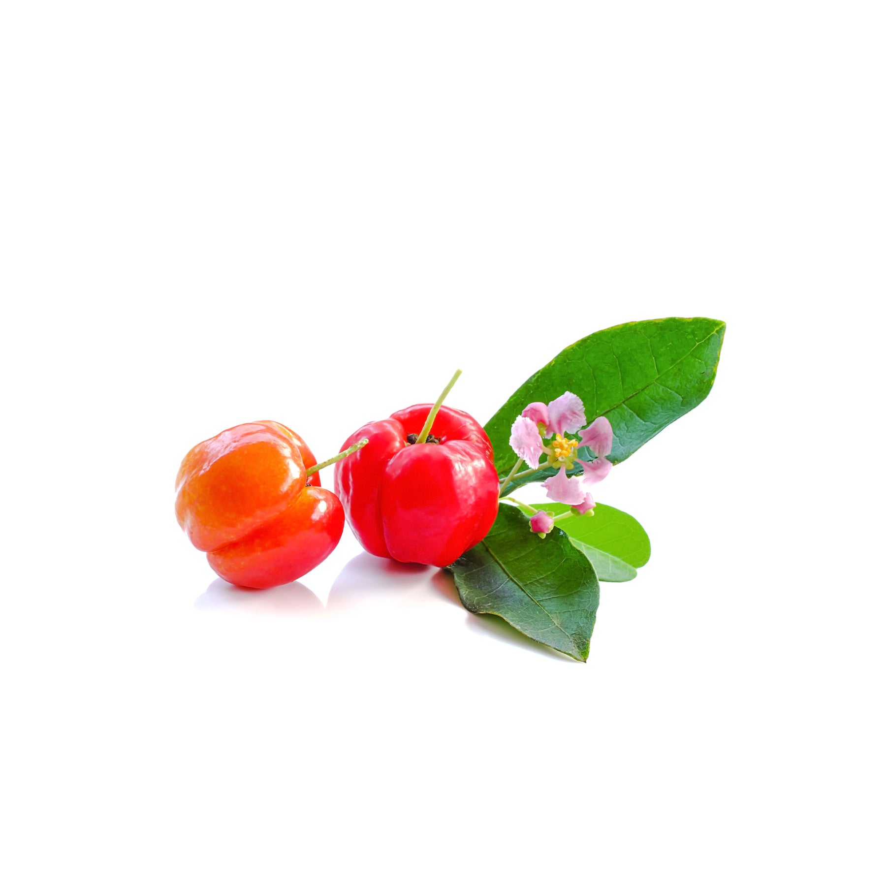 Complemento Herbal para Coloração Capilar de Acerola Cereja