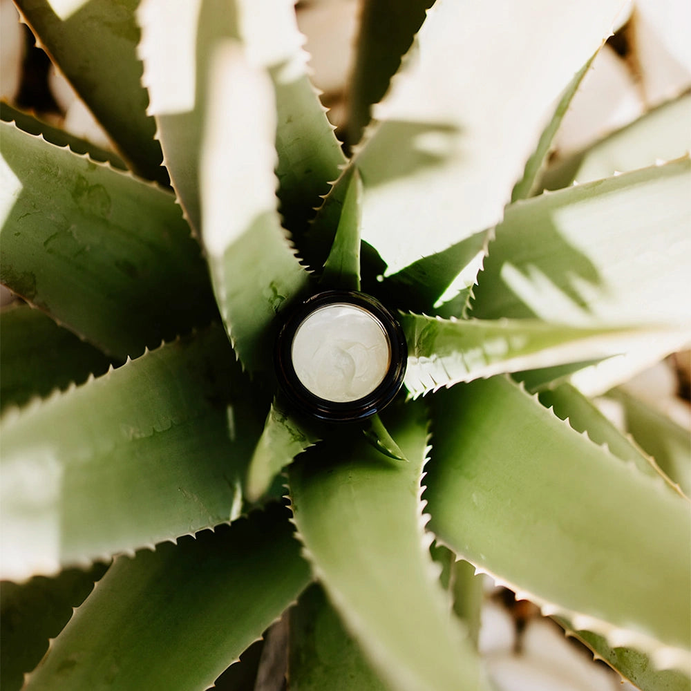 Crafted Facial Cream Aloe Vera & Lemongrass