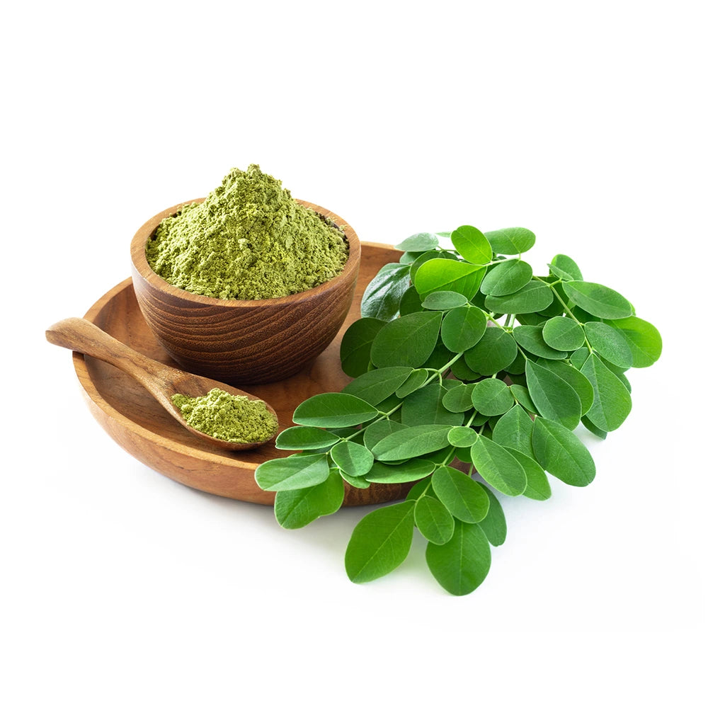 Moringa Orgânica em Pó