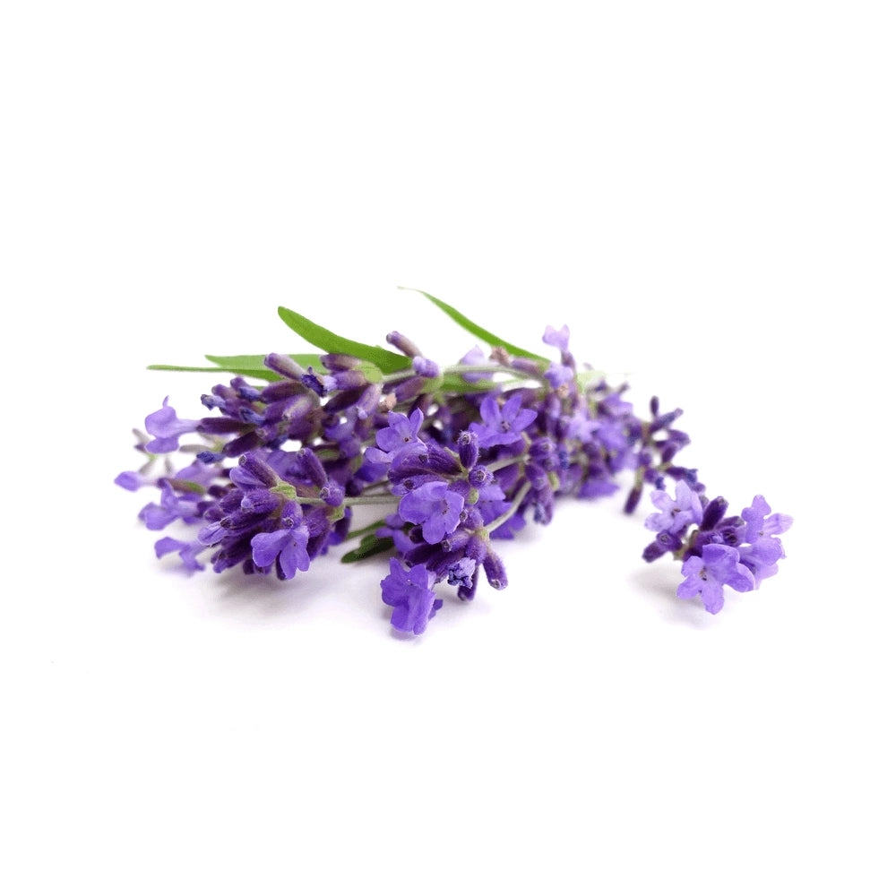 Aceite Esencial de Lavanda