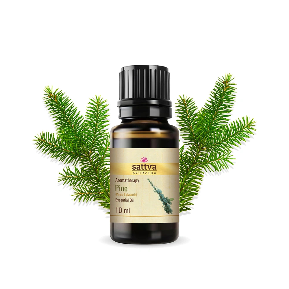 Pine Essential Oil